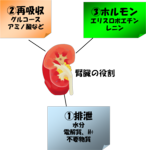 t.png